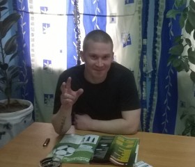 денис, 32 года, Віцебск