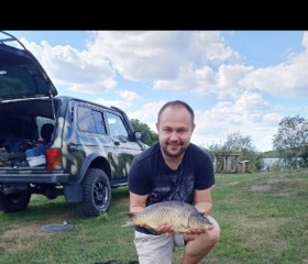 Михаил, 31 год, Белгород