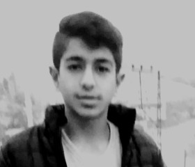 azatcan, 22 года, شهرستان ارومیه
