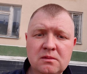 Александр Евстиг, 38 лет, Петровск