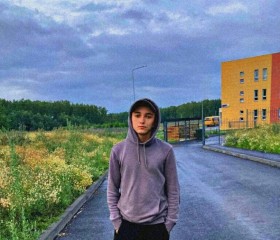 Роман, 20 лет, Челябинск