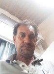 Paulo, 51  , Birigui