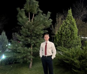 Владимир, 25 лет, Ростов-на-Дону