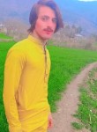 Toqeer shah, 18 лет, پشاور