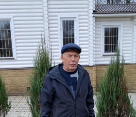 Viktor, 73, Aleksin