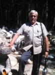 Андрей, 74 года, Красноярск