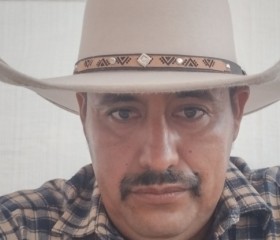 Luis Alberto rey, 35, Saltillo