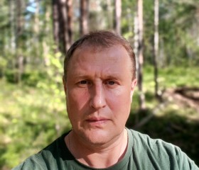 Сергей, 54 года, Верхняя Синячиха