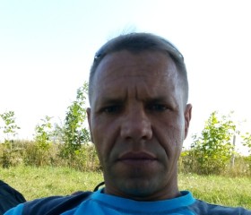 Владимир, 46 лет, Ладожская