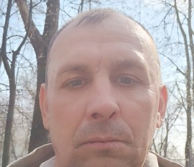Володя, 51 год, Москва