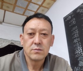 Талант, 49 лет, Бишкек