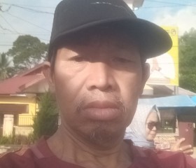 Yanefchan Mudiak, 53 года, Kota Bukittinggi