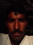 Rajkumar, 29 лет, Rāisinghnagar
