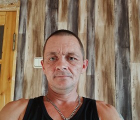 Роман, 44 года, Новомосковск