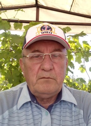 Наип, 68, Россия, Тольятти