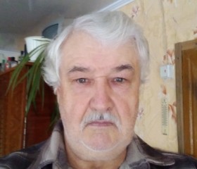 Александр, 70 лет, Саратов