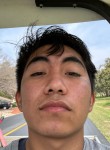 Luis, 19 лет, Austin (State of Texas)