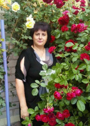 Галина, 56, Рэспубліка Беларусь, Баранавічы