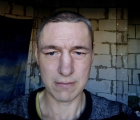 Олег, 45 лет, Пушкин