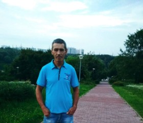 Сергей, 53 года, Александров