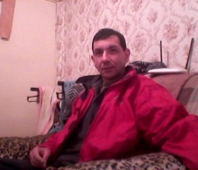 антон, 54 года, Петрозаводск