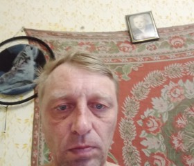 Роман, 43 года, Северск
