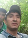 Бехзод, 37 лет, Кемерово