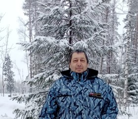 Роман, 46 лет, Псков