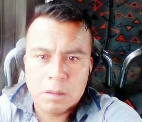 Carlos González, 39 лет, Poza Rica