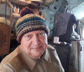Владимир, 71 год, Рязань