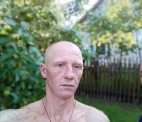 Александр, 37 лет, Бабруйск