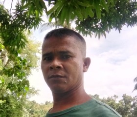 Henry Bermudo, 47 лет, Lungsod ng Naga