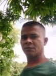 Henry Bermudo, 47 лет, Lungsod ng Naga