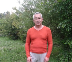 Виктор, 66 лет, Барнаул