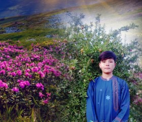ف, 18, Maymana