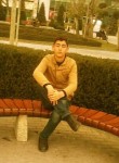 elnur, 26 лет, Beyləqan