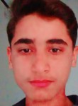 Shahid, 19 лет, مِيانوالى‎