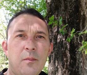 Dmitriy, 45, Baku