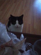 Bys, 28, Turkey, Vakfikebir