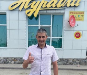 Николай, 43 года, Киселевск