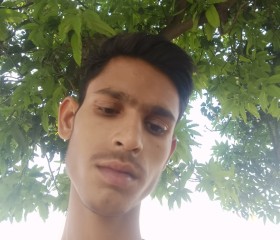 Dhananjay, 19 лет, Shāhābād (State of Uttar Pradesh)