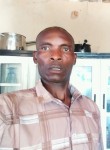Nobert GOHORI, 54 года, Harare