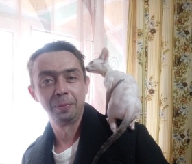Иван Триндицкий, 43 года, Тараз