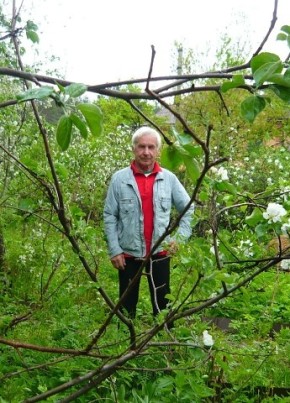 vladimir, 74, Россия, Новосибирск