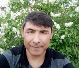 Ахмет, 44 года, Шымкент