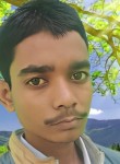 Shiva Pandey, 19 лет, Sultānpur