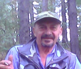 ВЛАДИМИР, 69 лет, Куртамыш