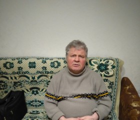 Владимир, 68 лет, Сосновый Бор