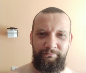 Владимир, 37 лет, Александров