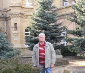 Александр, 65 лет, Сергиев Посад